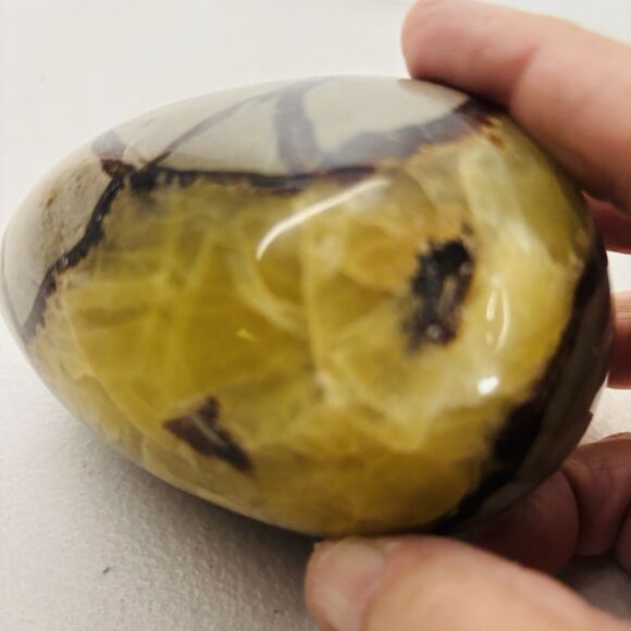 Stunning Septarian Dragon Quartz Crystal Geode Egg Stone Collectors Art Gift - Picture 7 of 14